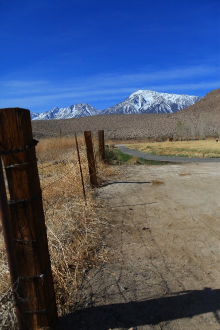 032314_eastsierras_hodzic_205-2