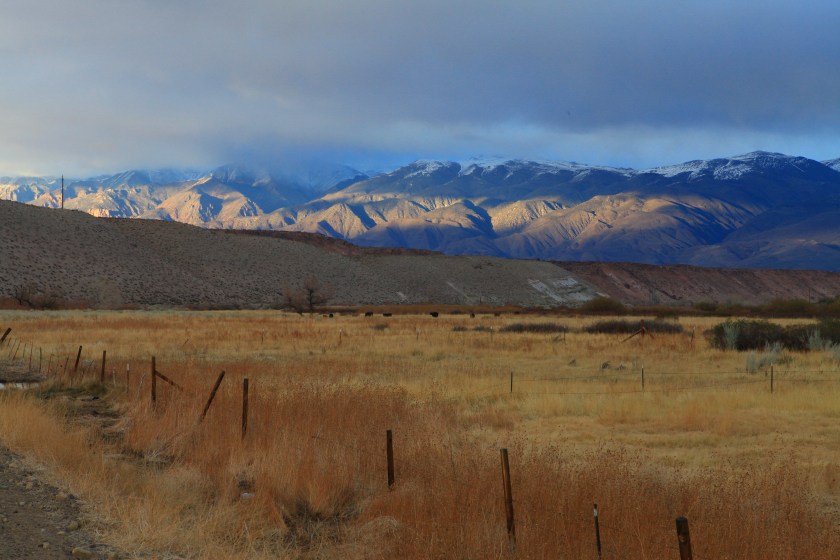 032314_eastsierras_hodzic_272