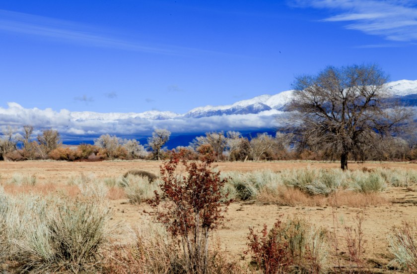 Photos in Bishop. Sads.