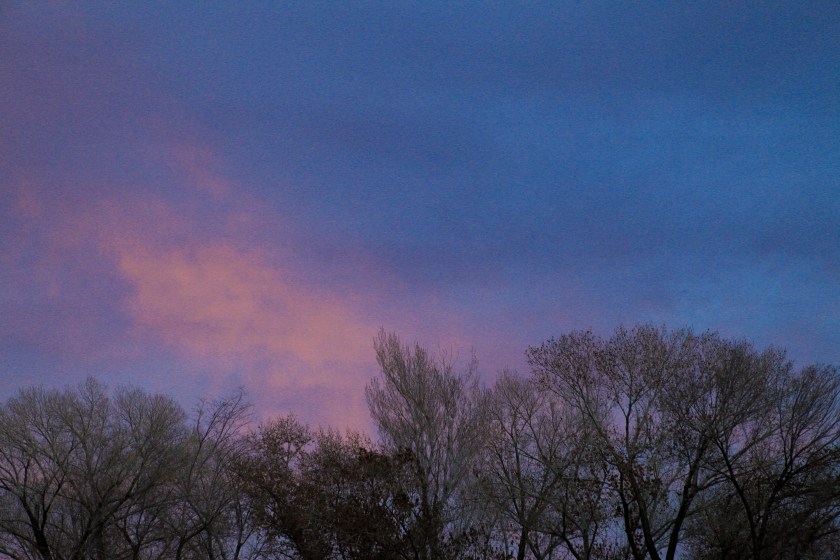 random photo to break up the depressing text! 