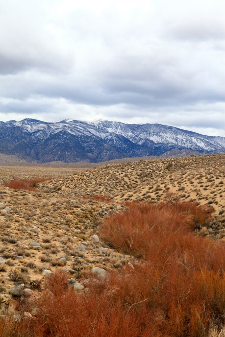 Exploring the Tungsten Hills on Friday, January 30, 2015 near Bishop, CA.