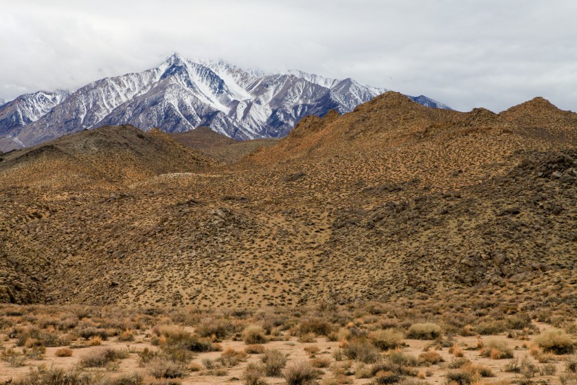 Exploring the Tungsten Hills on Friday, January 30, 2015 near Bishop, CA.