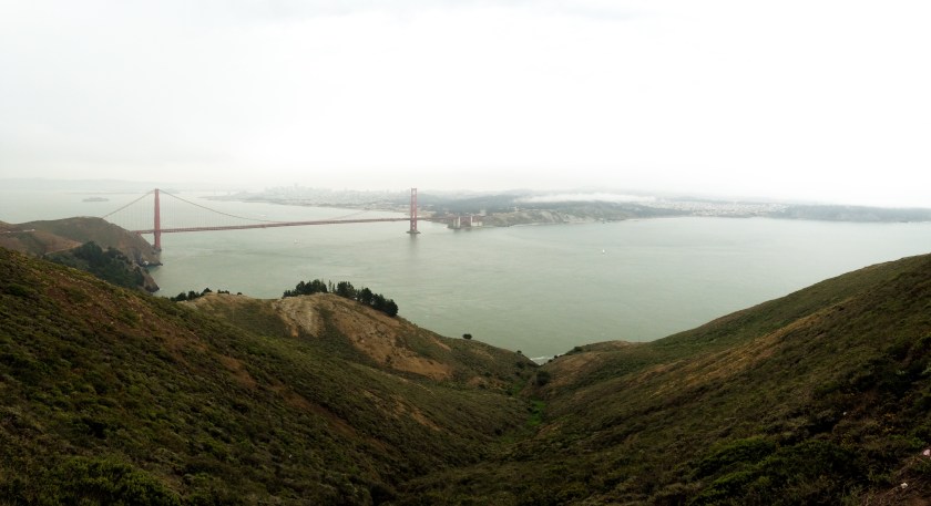 Plants in Bear Valley, Pt Reyes and later near Azalea hill trailhead in the marin municipal water dirstrict near Fairfax, CA
