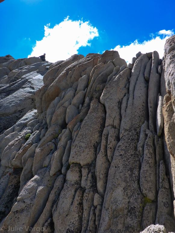 11807763_10105347052650558_2817970935177053529_o