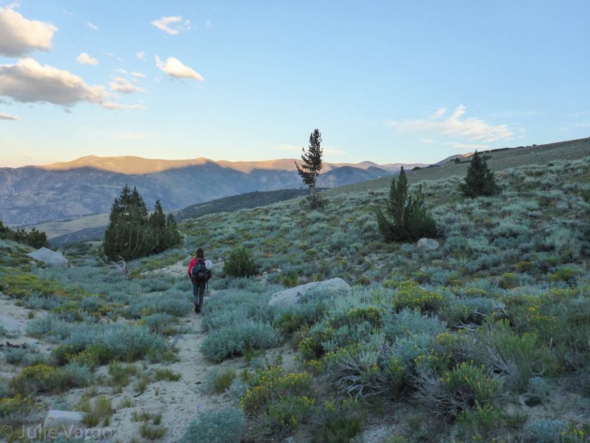  Nearing the end of our 14 hr day and we were content as could be while walking through a stunning meadow filled with wildflowers.