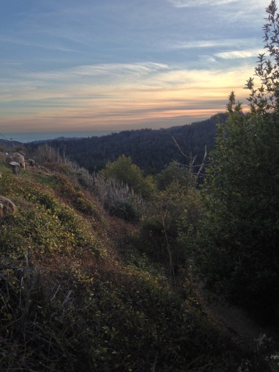 In Yosemite Valley with Denise on Sunday Jan 17, 2016.