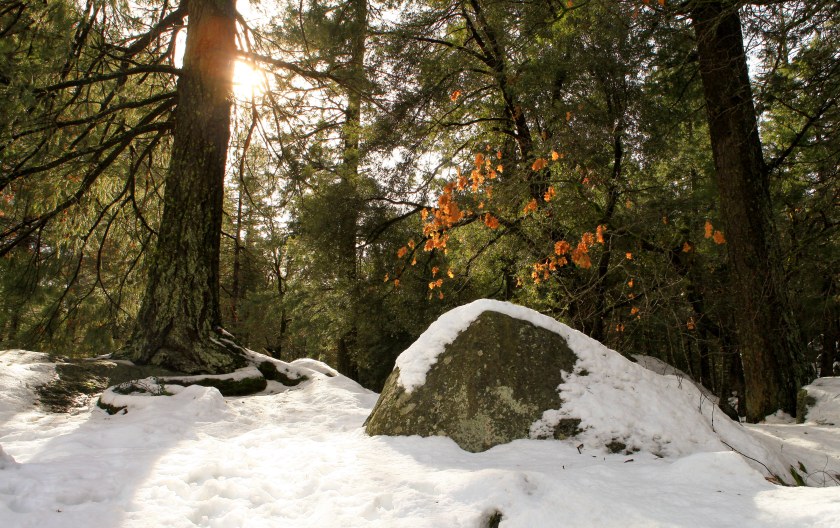 In Yosemite Valley with Denise on Sunday Jan 17, 2016.
