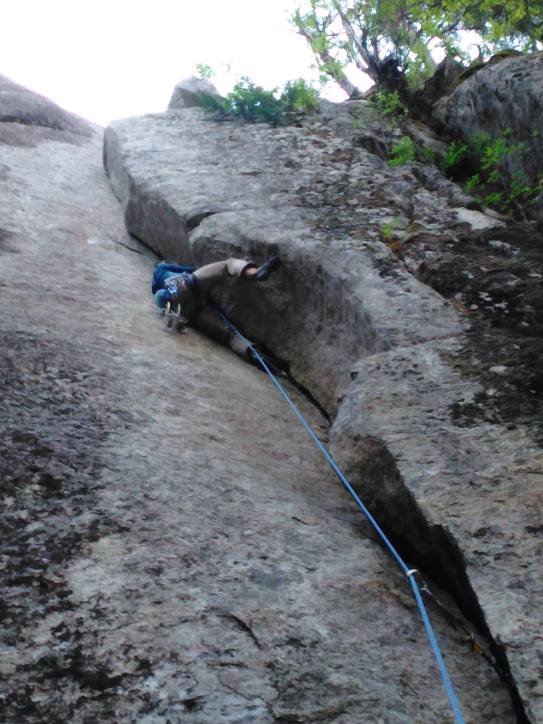 13116084_1709008176054501_554279547993296338_o