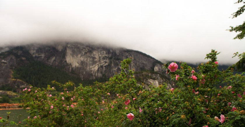 Photos of the Chief near Squamish, British Columbia Canada taken in May 2016.