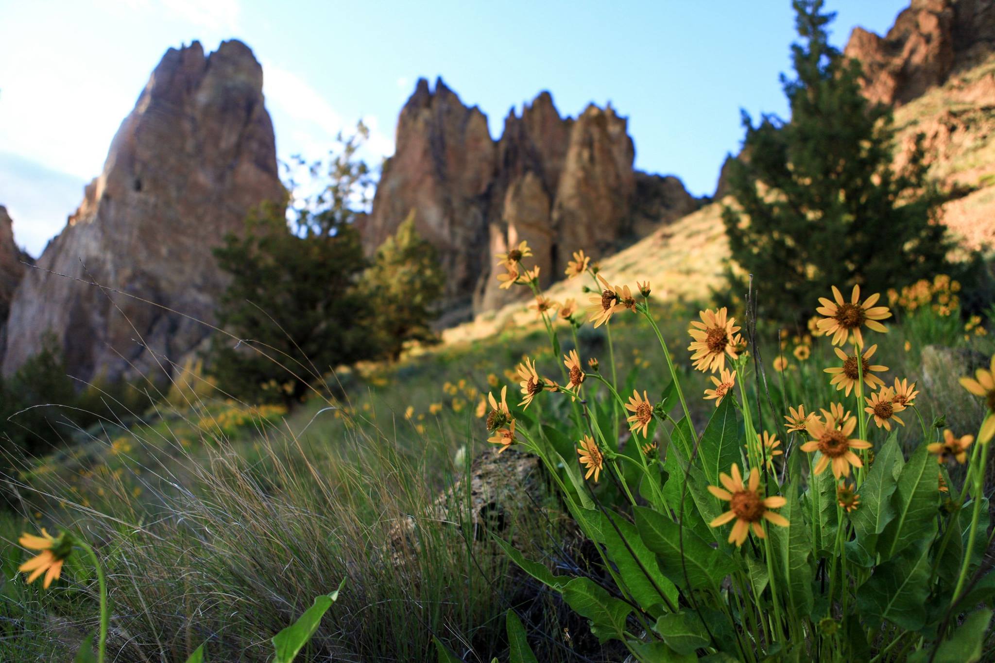 13123157_10154287951364180_2203970643232344921_o