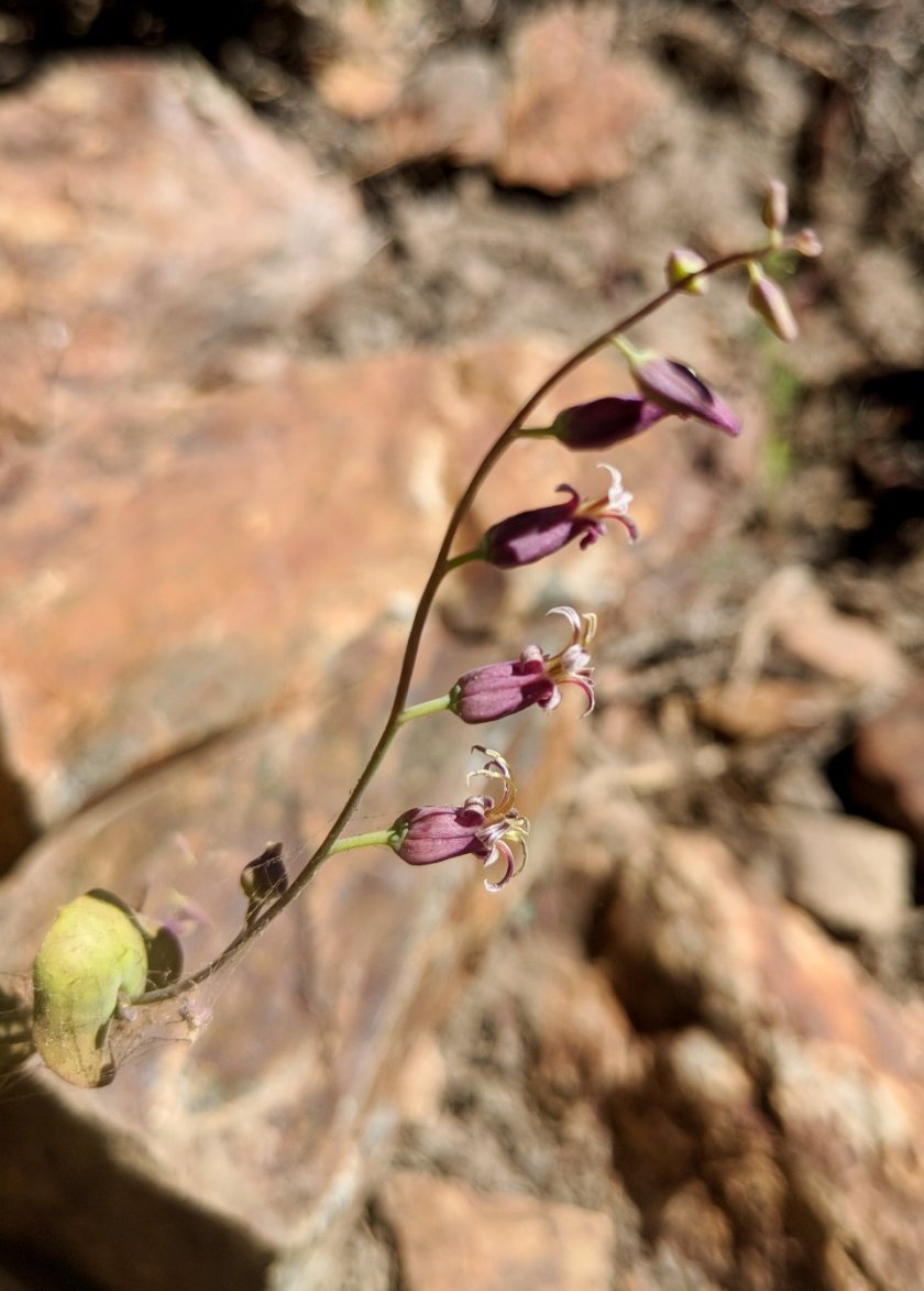 36327597_10156625718339180_4715405690464632832_o