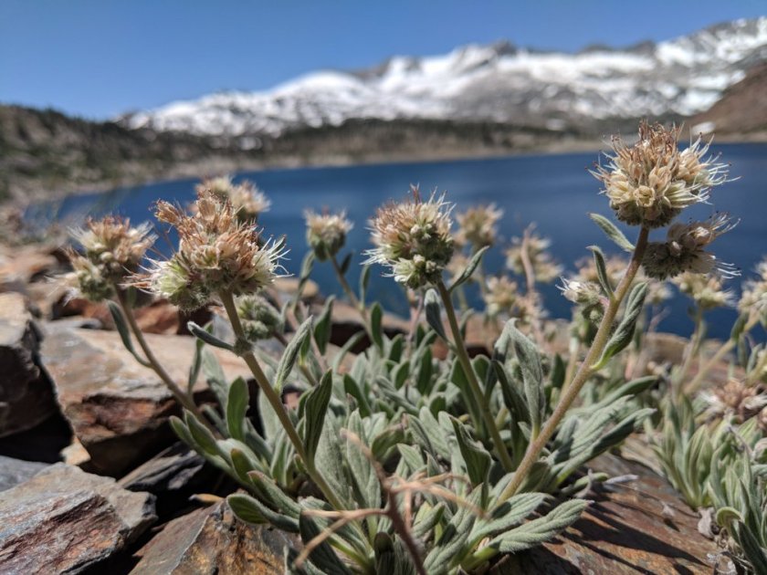 36387686_10156625721674180_7645773460328677376_o