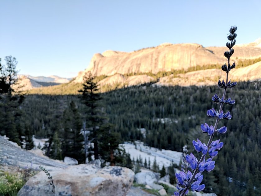 36459186_10156625728994180_2291617390334574592_o