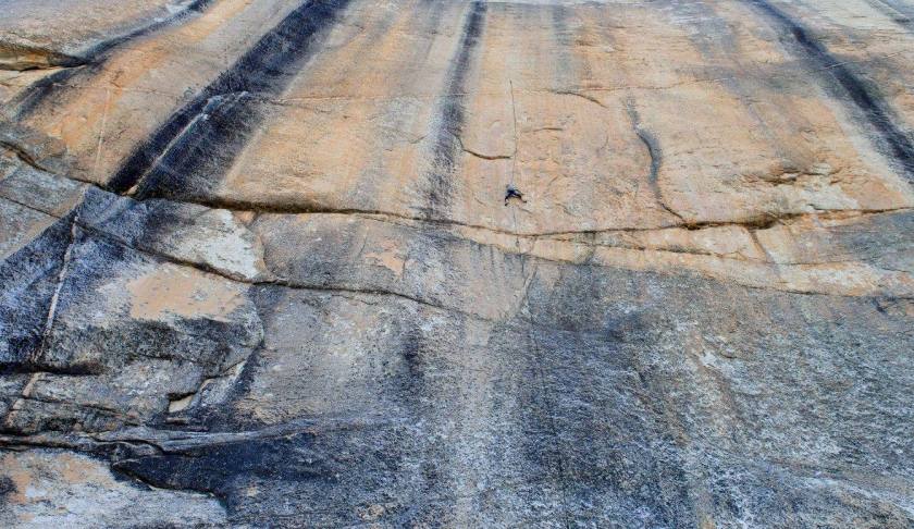 36742224_10156641608394180_7798897067429986304_o