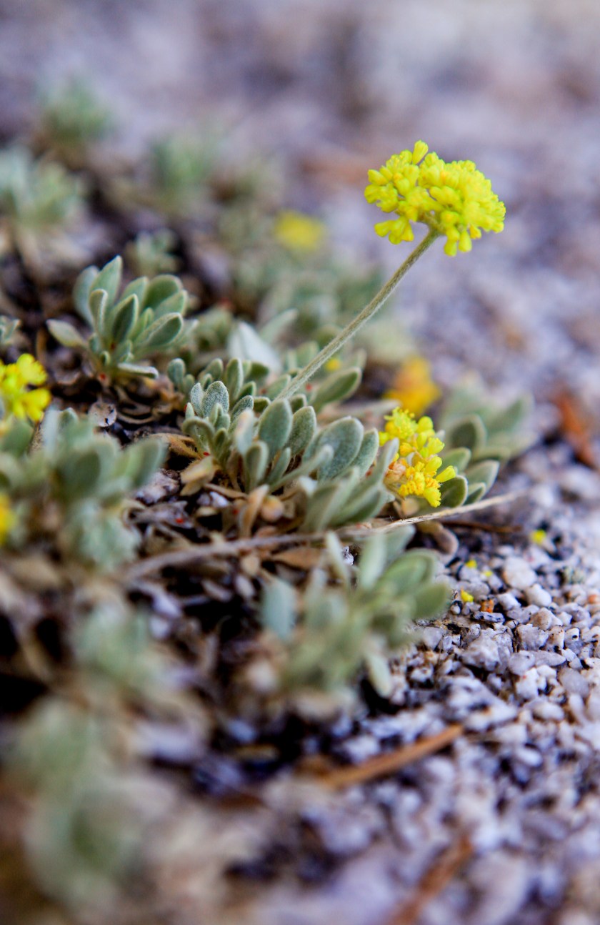 Glacial heritage preserve as seen on May 15, 2017.
