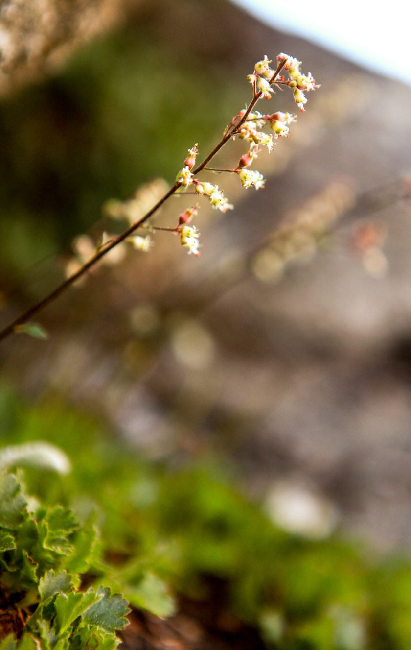 Glacial heritage preserve as seen on May 15, 2017.
