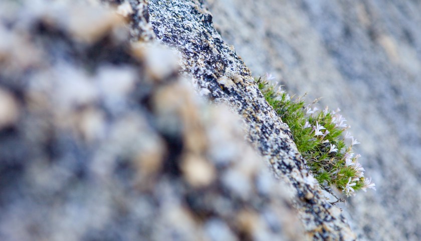 Glacial heritage preserve as seen on May 15, 2017.