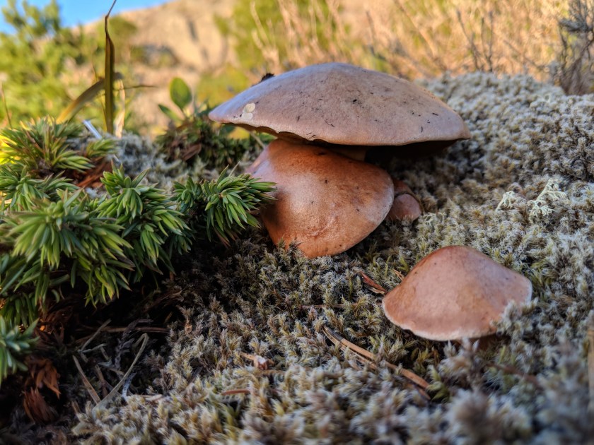 MVIMG_20180831_193841